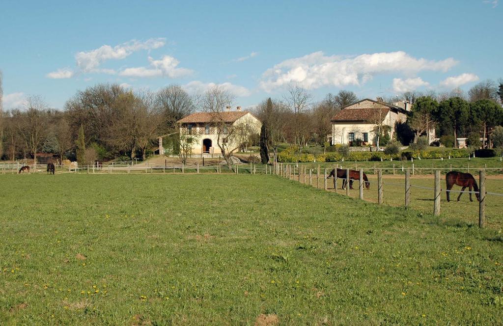 Agriturismo Trebisonda Country Resort Monzambano Exteriér fotografie