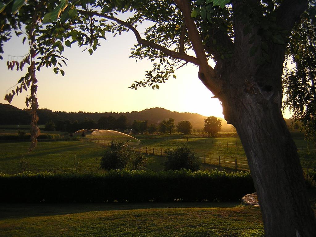 Agriturismo Trebisonda Country Resort Monzambano Exteriér fotografie